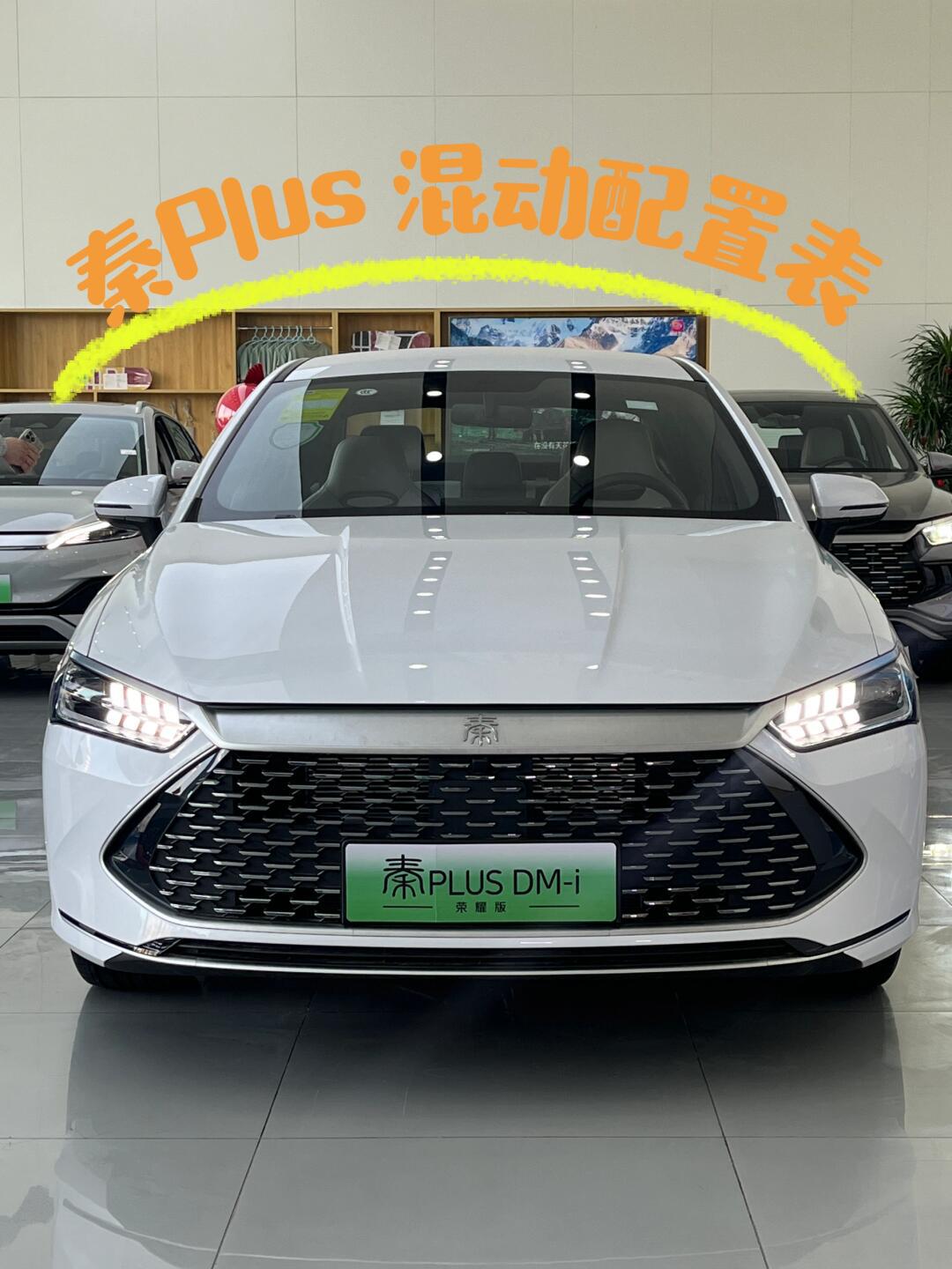 秦plus价格_秦PLUS价格变动