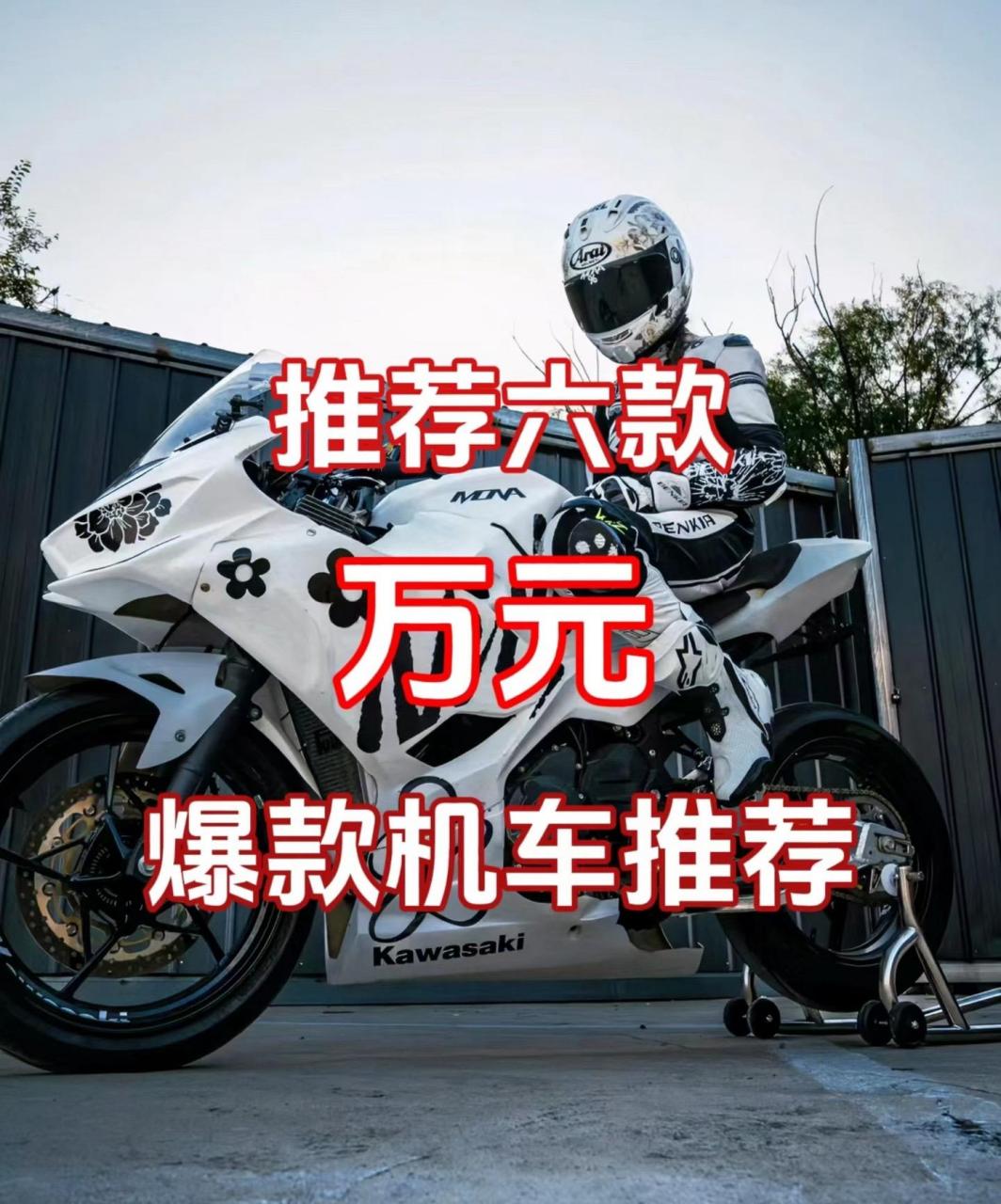 川崎ninja250价格_川崎ninja250r价格